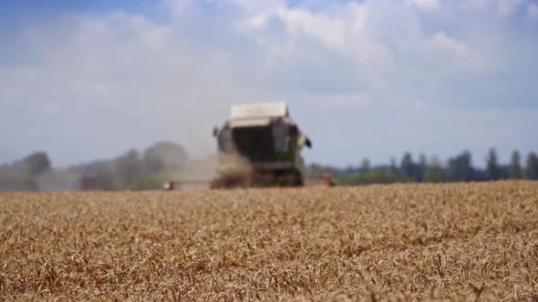 Combine harvester in action on the field. Combine harvester. 