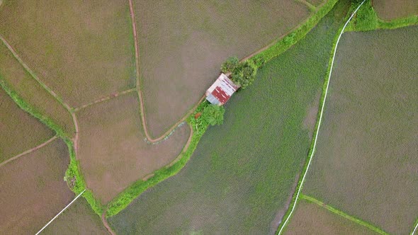 Drone Rice HouseAerial view of rice terraces field in northern of Thailand by drone