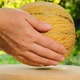 Honey melon.Round melon in female hands - VideoHive Item for Sale
