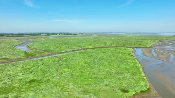 Long aerial shot flying tracking a muddy, narrow river flowing through a beautiful green river delta