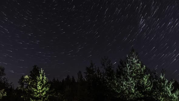 Star Trails in the Night Sky
