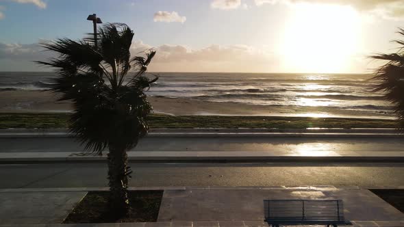 Aerial View of City Promenade and Palms Along the Ocean Beautiful Coast at Sunset From Drone