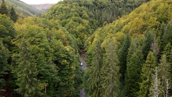 Aerial View of Carpathian Mountains