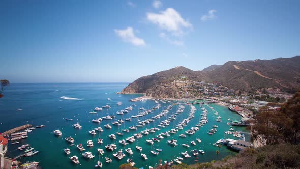 Bay and Town of Avalon on Catalina Island