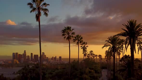 Aerial Of Palm Trees And The Sunset