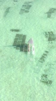 Vertical Video Boats in the Ocean Near the Coast of Zanzibar Tanzania