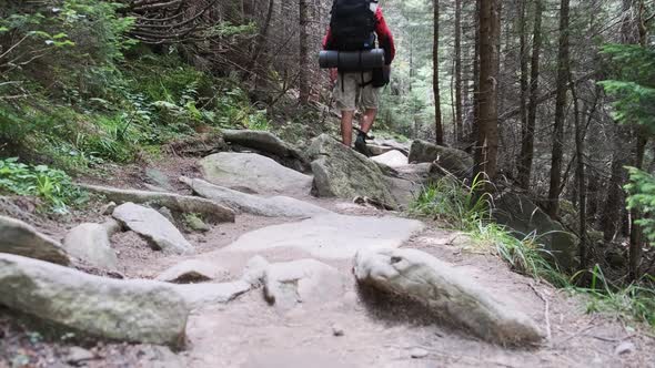 Tourist with a Backpack Climbing Up Along the Stone Mountain Trail in the Forest