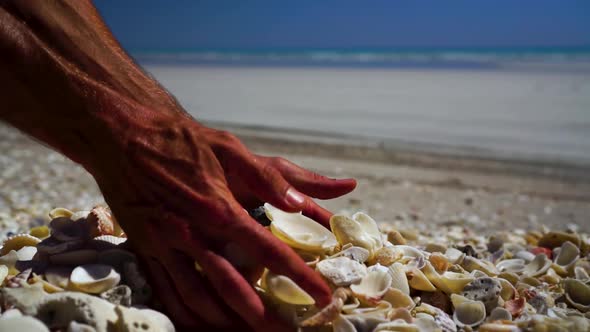Slow mo of male hands picking up and dropping pile of sea shells, close up