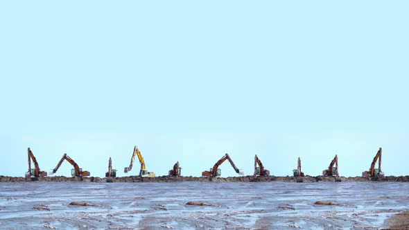 Many Excavators Dig the Wet Sand