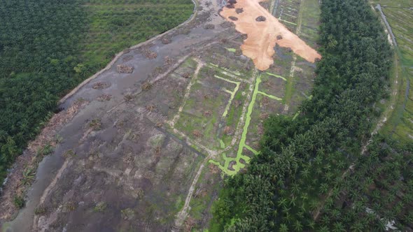 Aerial view land clearing of oil palm