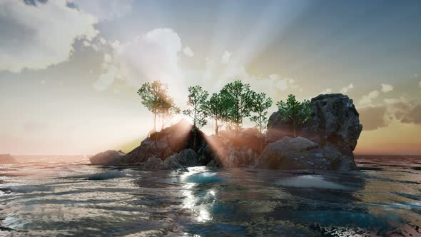 Rocky Island with Trees As Ocean