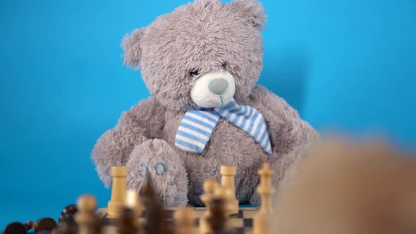 Close Up of Teddy Bears with Chess Pieces on Chessboard