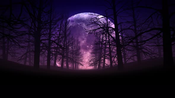 Full Moon Night In Forest Halloween Background 01 4k alt