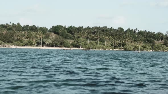 View of Unspoiled Coast of Zanzibar with Forest Palms Reefs Boats and Ocean