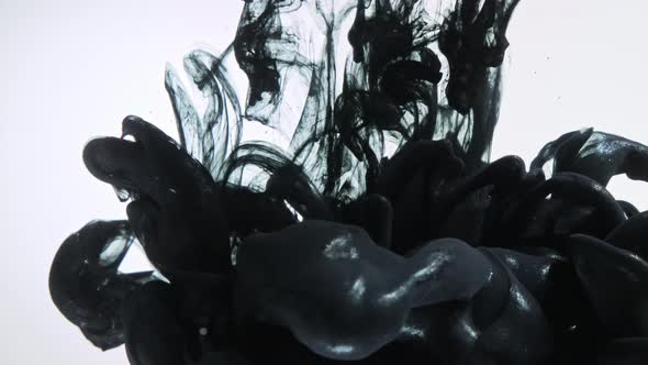 Black Color Paint Drops in Water Against White Background.