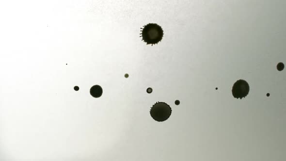 Black ink drops on white paper, Slow Motion