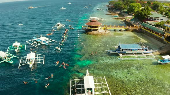 Tourists Snorkeling in Coral Reef, Moalboal, Philippines