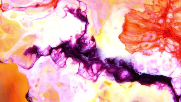 Vibrant Colours Paint Swirling Explosion 39