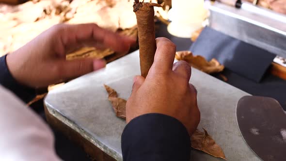 Close up shot of a person carefully hand making a cigar in a factory in the Caribbean