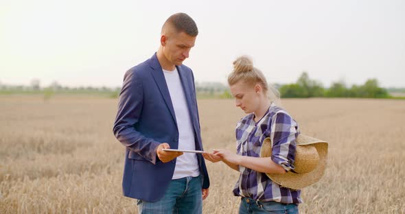 Agriculture - Female and Male Farmers Talking at Wheat Field During Harvesting