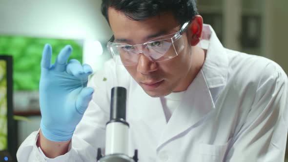 Asian Scientist Man Looking At Test Sample Of Leaf Analyzing For Biological Experiment