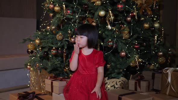 Korean Girl Child in a Red Dress Stands at the Christmas Tree in New Year