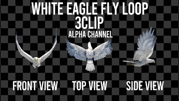 White Eagle Fly 3Clip Alpha Loop alt