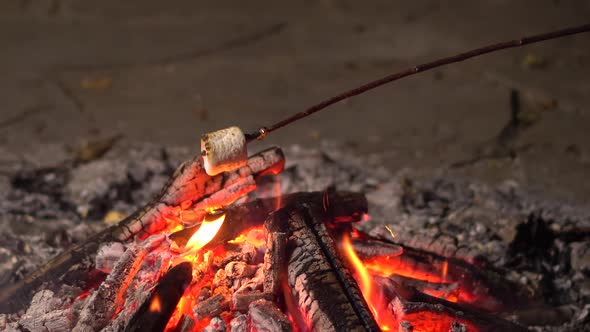 Marshmallow on a Stick Roasted on a Fire Close Up. Campfire at Night.