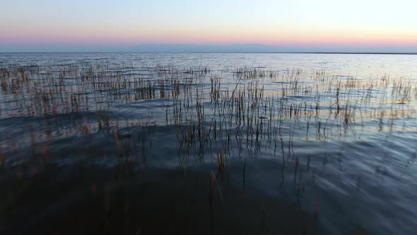 Sunrise Hours Reeds And Lake