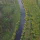 View of the river from above. Flight over water and forest trees from a height - VideoHive Item for Sale