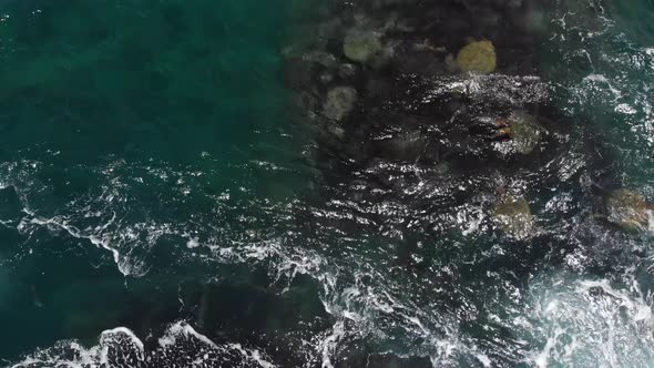 Aerial footage of four sea turtles riding in ocean waves, bottom is visible (Kauai, Hawaii, USA)