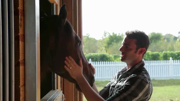 Man Stroking Horse's Head in Stable