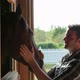 Man Stroking Horse's Head in Stable - VideoHive Item for Sale