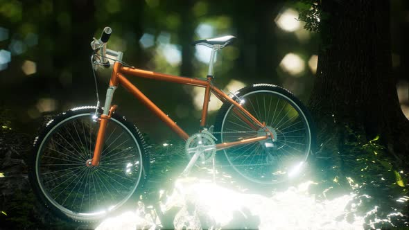 Mountain Bike on the Forest Path