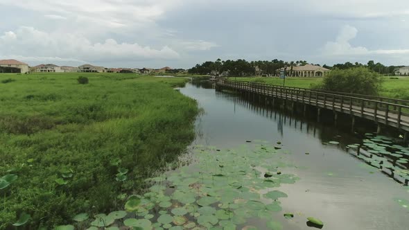 Aerial view of mangrove swamp with wooden bridge.Water lily. Lily pads. Kiosk