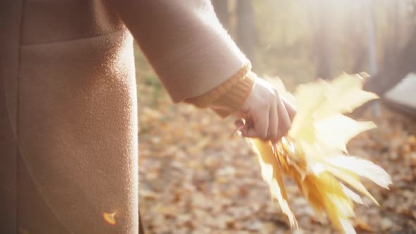 Woman Holds a Bouquet of Yellow Maple Leaves at Arm's Length in Autumn Park