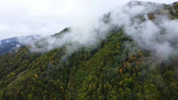 Misty Autumn Mountain Aerial View