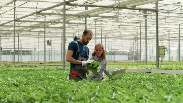 Female Engineer with Farm Worker in a Greenhouse