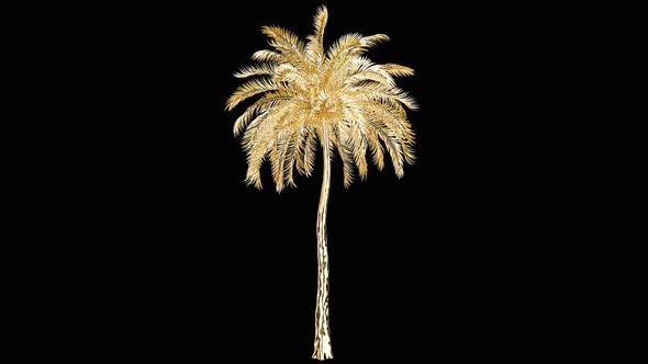 Golden Palm Tree In The Wind 2