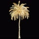 Golden Palm Tree In The Wind 2 - VideoHive Item for Sale