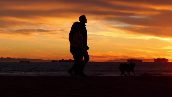 Couple walking their dog on the beach