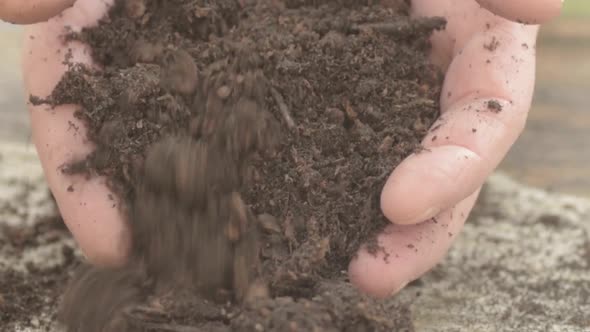 Pair of hands in soil