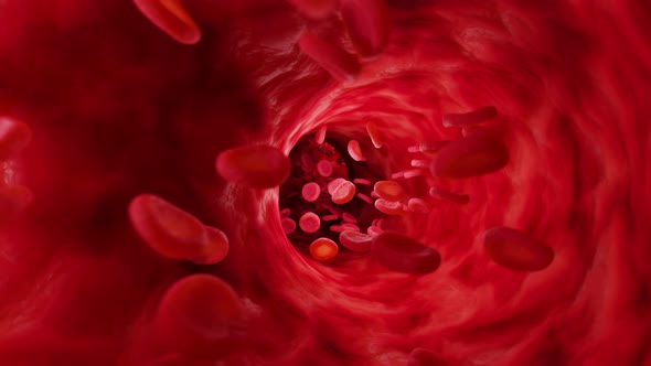 Red blood cells in artery