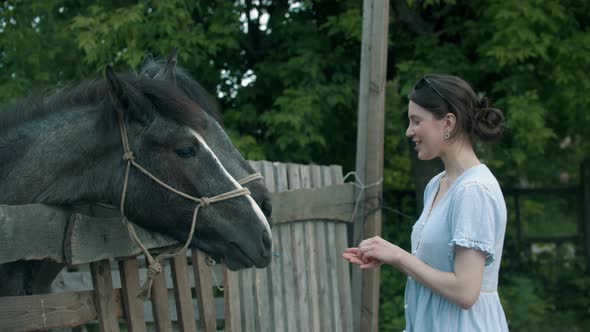 Young Smiling Woman Feeding Horses in Paddock Outdoors