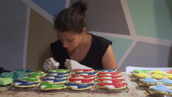 Woman decorates homemade vehicle shaped cookies with sugar icing. Slide medium 4K shot