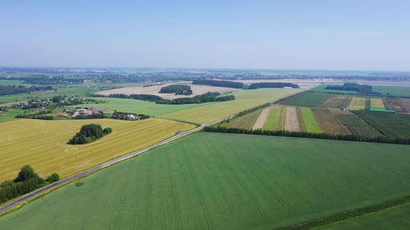 Aerial Flying Over Straight Rows Rural Fields With Growing Agricultural Crops