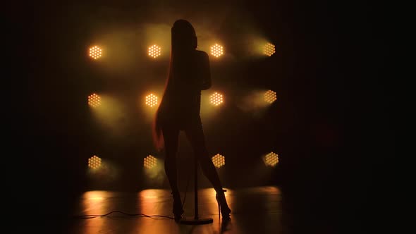 Silhouette of Charming Female Vocalist Performs Solo Concert on Dark Stage with Bright Lights on