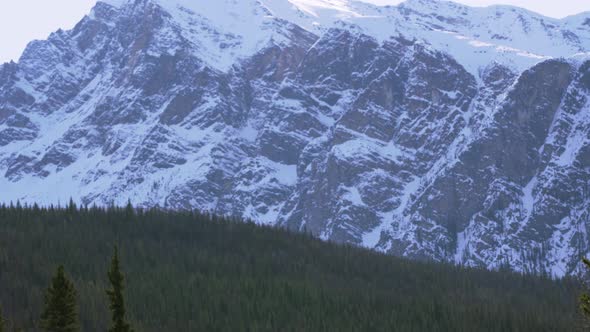 A tilt up shot of forest and snow-capped mountains in the Rocky Mountains.