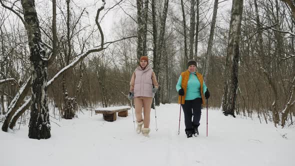 Women Practice Nordic Walking in a Snowy Forest