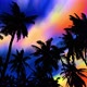View On Palm 1 And Acid Sky - VideoHive Item for Sale